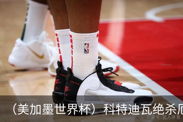 （美加墨世界杯）科特迪瓦绝杀厄瓜多尔 瑞典5:1大胜突尼斯